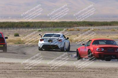 media/Oct-04-2025-OnGrid (Sat) [[44bd565ffa]]/Yellow Group/Grapevine/